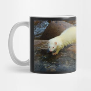 The River Queen Mug